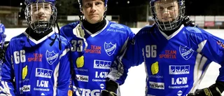 Familjeföreställningen