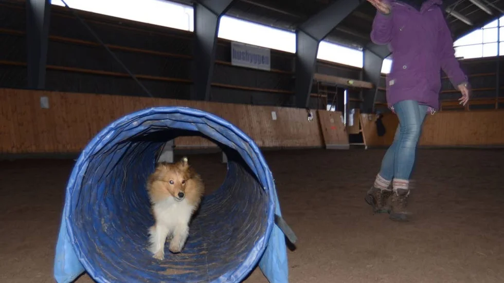 Angelica Nilsson ger tecken åt Cilla att springa genom tunneln.