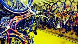 Sommarstängt. På polisens cykelutlämning är det just nu sommarstängt. Något som Ulrika Pecher fick erfara när hon kom för att titta efter sin stulna cykel.Foto: Mattias Ahlm