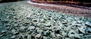 Värmen och regnet skapar problem för skogsbruken