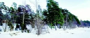 Många åsikter om Gränsö