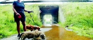 Gångtunnel i Åby full av vatten