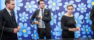 SD:s dubbla ansikten