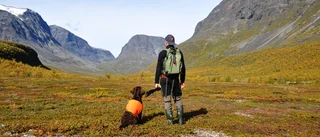 Naturupplevelse i Vistasvagge  