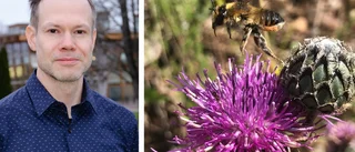 "Om alla gör något litet kan det få stor effekt"