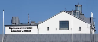 Hälften av studenterna måste plugga på distans