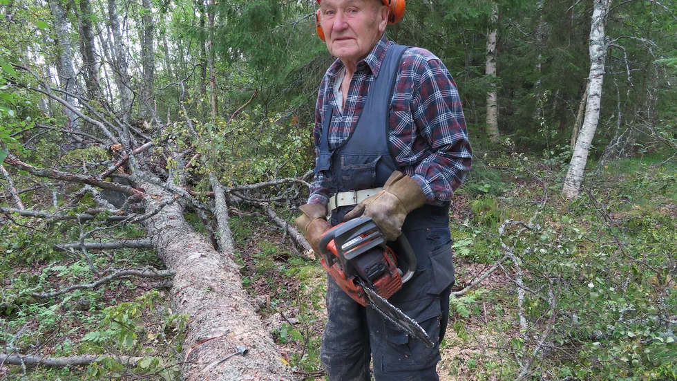 Ragnar Johansson 90, är inte bara en av Sveriges äldsta skogshuggare, han tar också striden mot staten när det gäller äganderätten till fisket vid Norrbottenskusten. Foto Lars Pekka