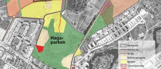 Så vill kommunen bygga i Hagaparken 
