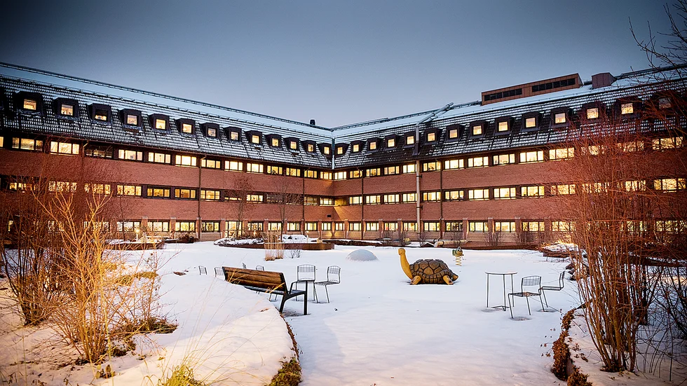 Insändarskribenten är kritisk till hur socialnämnden i Skellefteå styrs och får svar direkt.