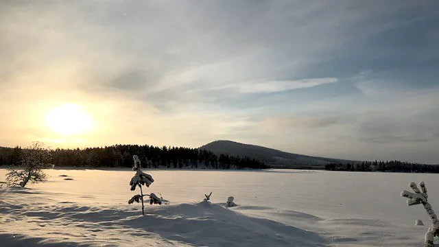 Vackert väder och solen har börjat titta fram över grantopparna i Sundsnäs/Holmen, Arvidsjaur.