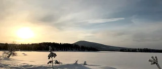 Läsarbilden                   