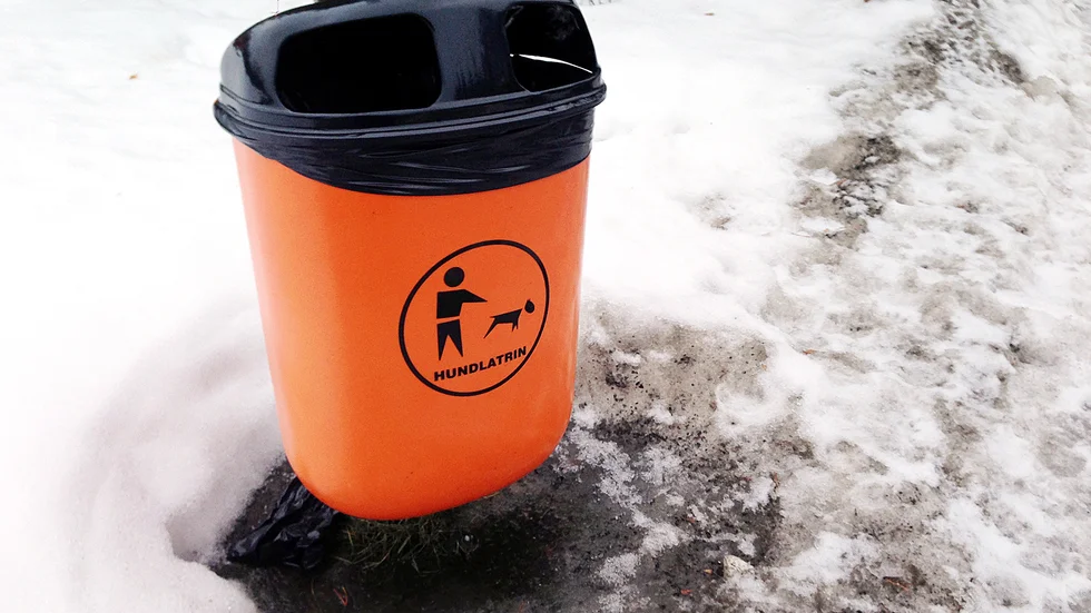 Hundägare som inte orkar plocka upp hundbajset kanske inte ska ha någon hund. 