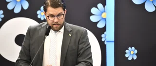 SD har en lång väg kvar                                