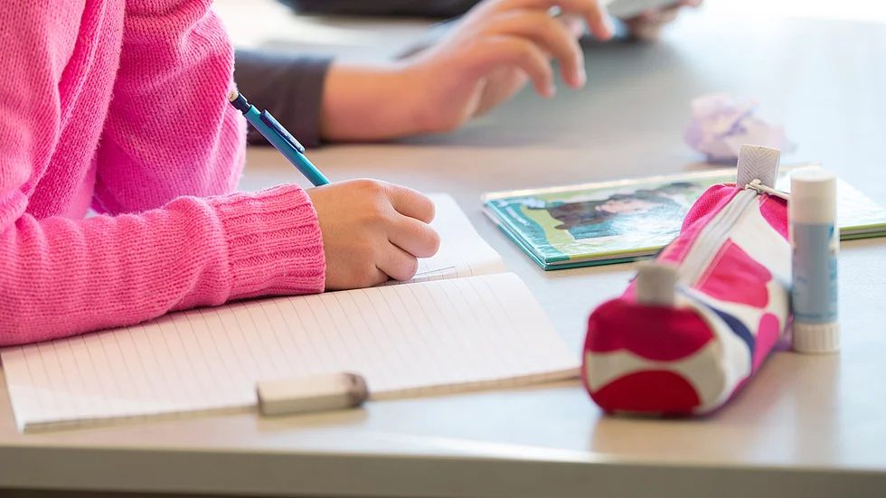 Skribenten menar att Internationella Engelska Skolan kan erbjuda en bättre skolverksamhet än kommunen. 