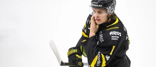 ESK lånar in tidigare juniorlandslagsspelare