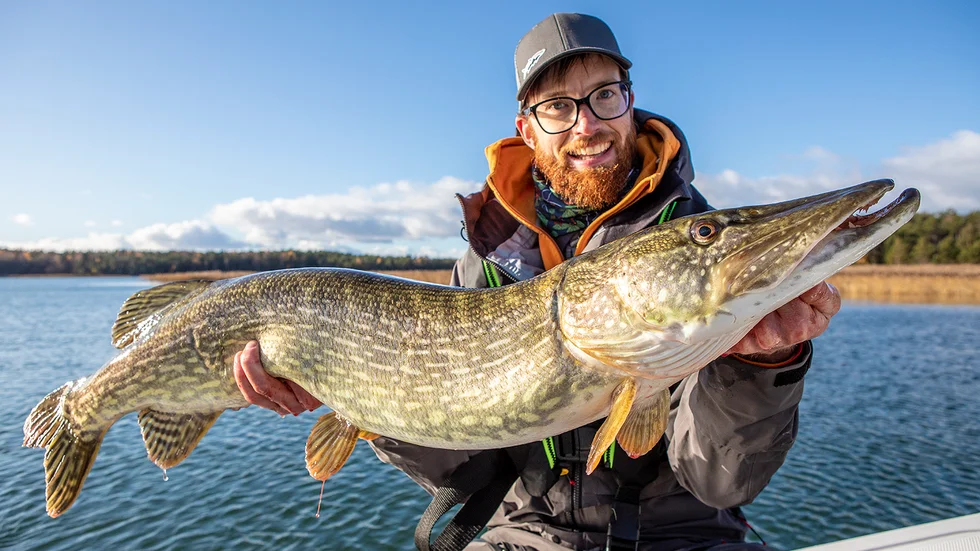 Fiskejournalens chefredaktör Anders Holm med vacker norrlandsöring.