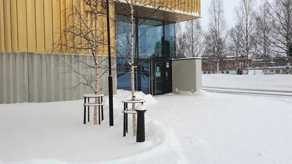 Luleå tingsrätt gick på åklagarens linje på lördagen.