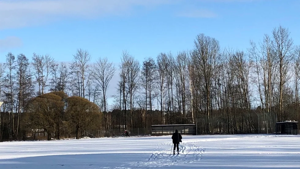 Vintriga bilder överväger i veckans quiz.