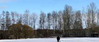 EP-quiz: Klarar du alla rätt på frågorna?