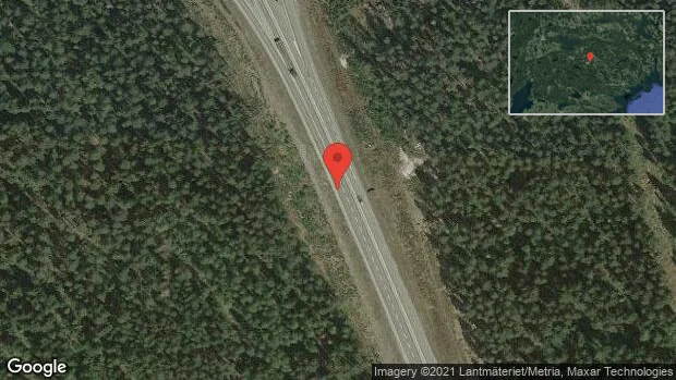 Rådjur på vägen på väg 52