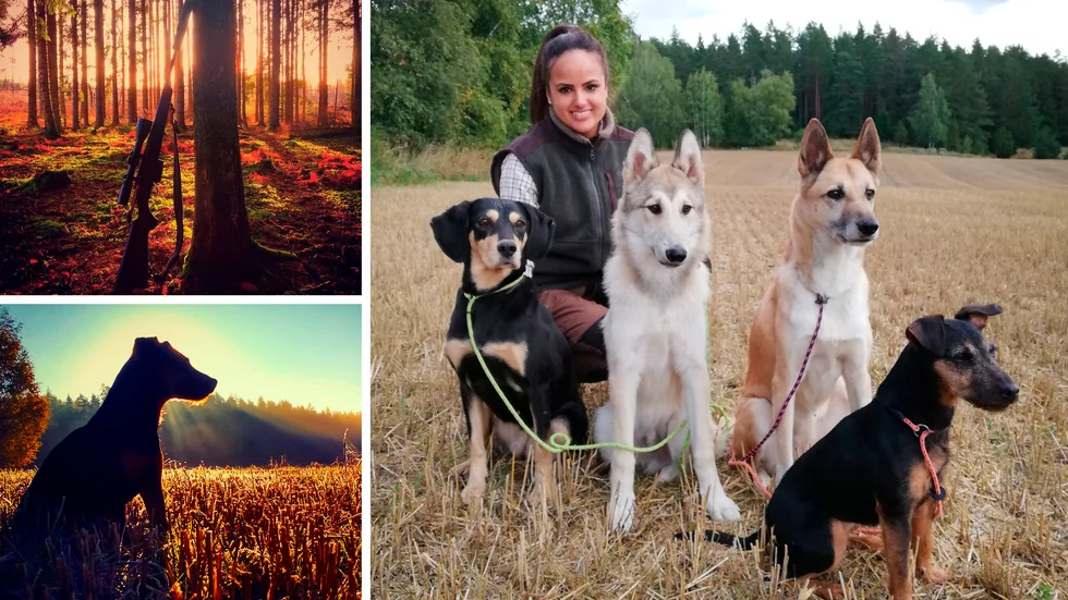 Sara Andersson förevigar ögonblick från sina många timmar i skogen och delar med sig på Instagram. 