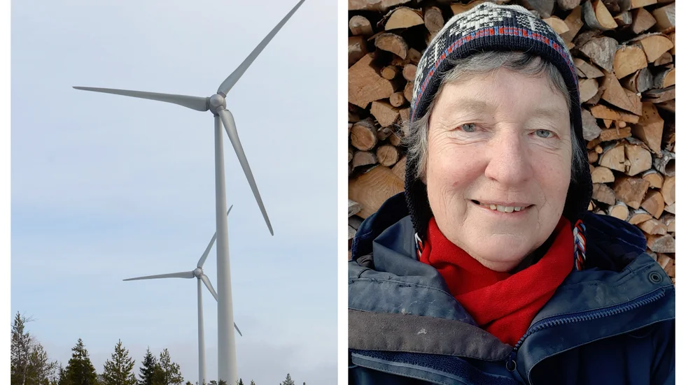 Lotta Lanne, Naturskyddsföreningen i Norrköping, välkomnar förslaget om en mer översiktlig planering av var det är lämpligt med vindkraftsutbyggnad.