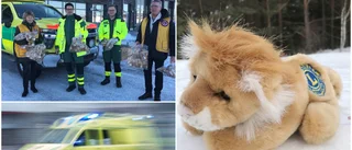 Lejonen som ska skänka glädje till utsatta barn