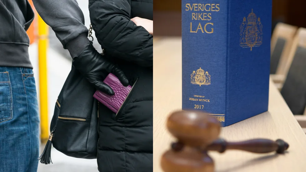 Ficktjuven dömdes nyligen till fängelse. Polisen hittade 30 brottsoffer under utredningen.