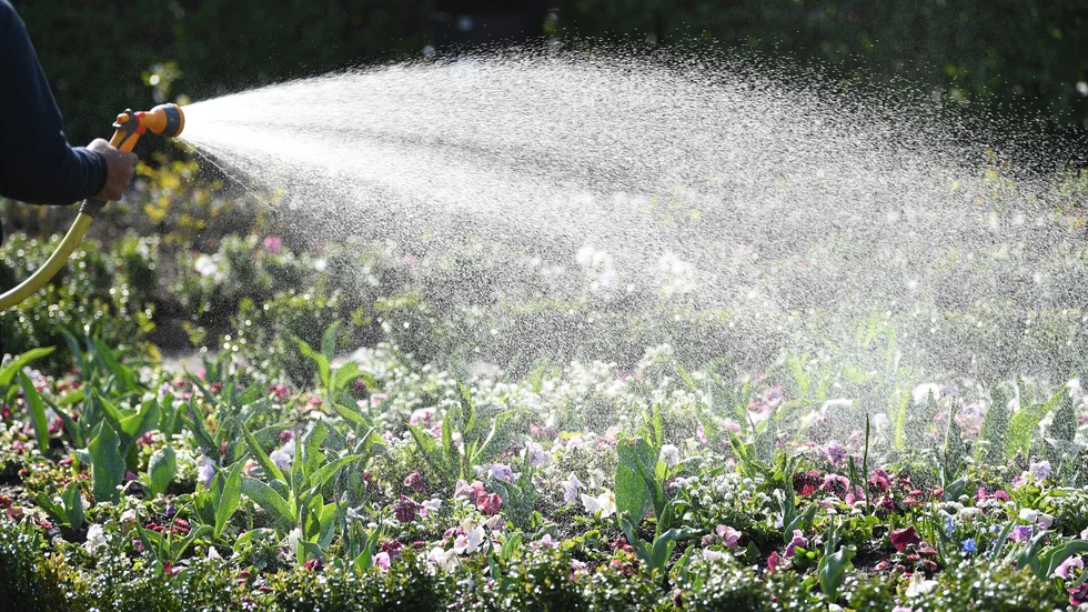 Nyköping har bevattningsförbud, men grannkommunen Oxelösund nöjer sig med att uppmana till sparsamhet med vattnet. I vissa andra kommuner gäller förbudet bara under dagtid. 