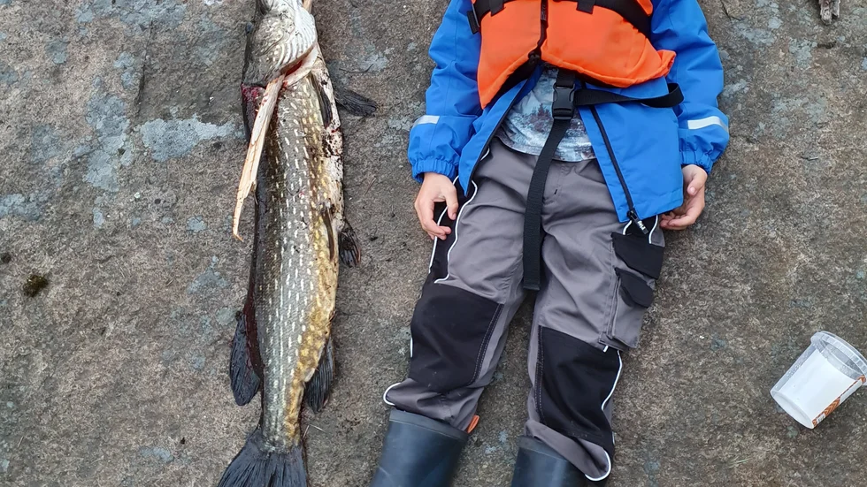 Lukas Vestgöte från Hjorted fick en sexkilosgädda på kroken härom kvällen. Fisken var en meter lång.
