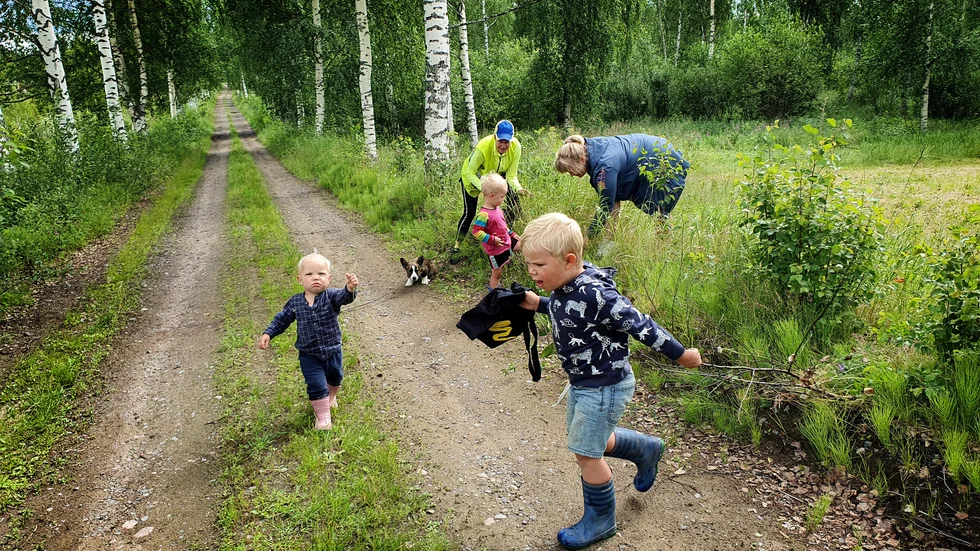 "Håll Sverige rent". Familjen Olsson är ute och "ploggar" på familjen Hälls lantgård. De vill undvika att kor, får och andra djur inte ska råka illa ut för vassa föremål.