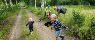 Bildextra: Läsarbilder        