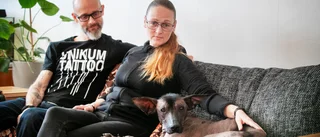 Nakenhunden Ove hemma igen efter en vecka på rymmen – stickad tröja blev hans räddning