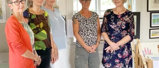 Fler sålda tavlor ger konstnärer blodad tand 