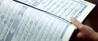 Varför vill man provocera muslimer? 