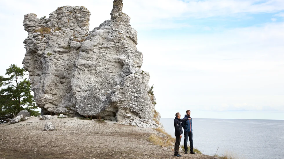 Med 12 meter höga rauken Jungfrun i ryggen blickar länsstyrelsens Mattias Vejlens och Daniel Nygren ut över havet och Klintkustleden, som på ringlande stigar fortsätter norrut från Lickershamn.