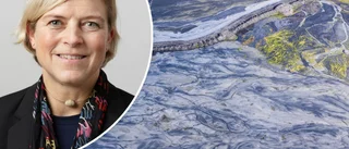 Enorm vätgasfabrik kan placeras i Skellefteå: ”Kommer behövas en yta på upp till 50 hektar”
