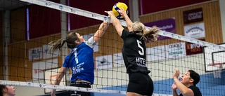 Volleybollen pausar: "Vi måste ta ett samhällsansvar"