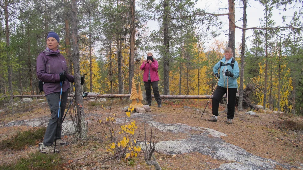 På vägen till målet Klipptjärn spanade vandrarna efter ett omtalat konstverk.