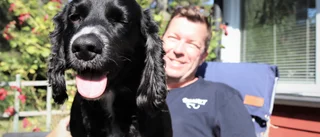 Hunden Toke nosar upp vägglössen 