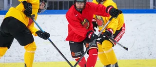 Höjdpunkter: Internmatchen Luleå Hockey/MSSK
