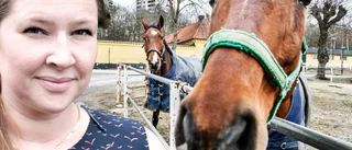 Lagstiftning mot hästhagar är bajs