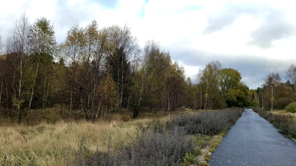 Den nya vägen kommer troligtvis att delvis byggas på den cykelväg som sträcker sig från Stjärnholm, genom Inskogen och vidare mot Peterslund. Arkivbild