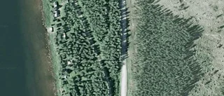 Lantbruksfastighet i Harads såld till ny ägare