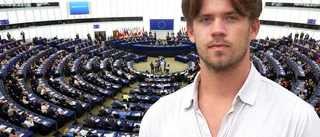 Vegokorvsdebatten får vi stå ut med som EU-land