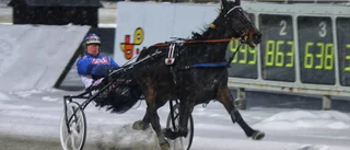 John Östman ”tomte” på Bodentravet 