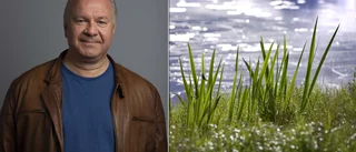 Fler och fler småkommuner samarbetar om vatten