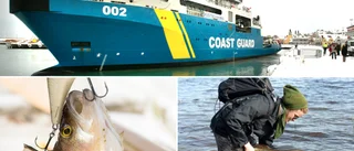 Kustbevakningen rycker ut – för att skydda abborrar