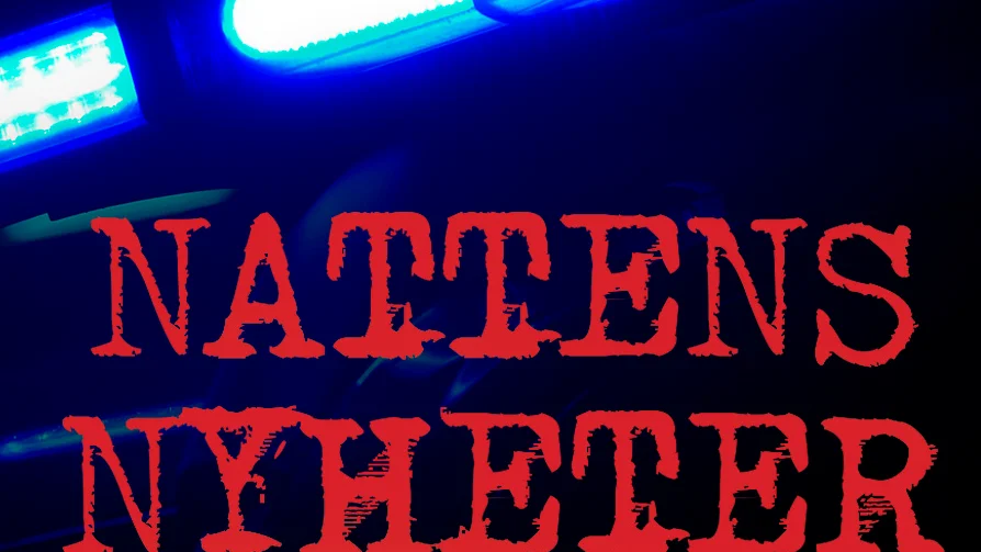 Polisen har haft en lugn natt, här är vad de sysslat med.
