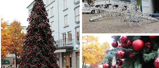 Julgranen som väcker känslor - så svarar ansvariga
